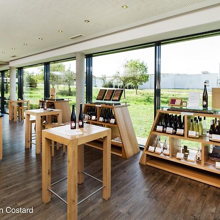 Meyerhof - Bioweingut, Vinothek & Gaestehaus Flonheim Dış mekan fotoğraf